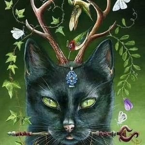 Meet your Posher, Michele